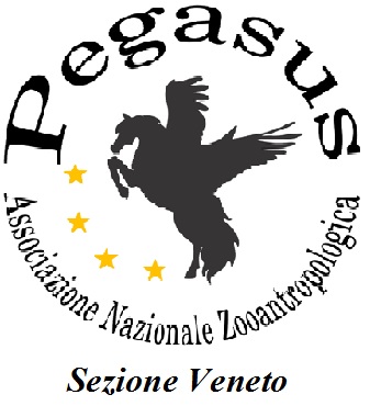 Pegasus_adesivo_rotondo